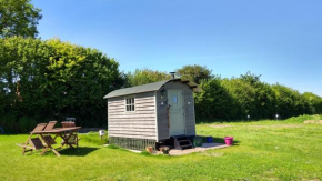 Shepherd's Lodge - shepherd's hut with devon views